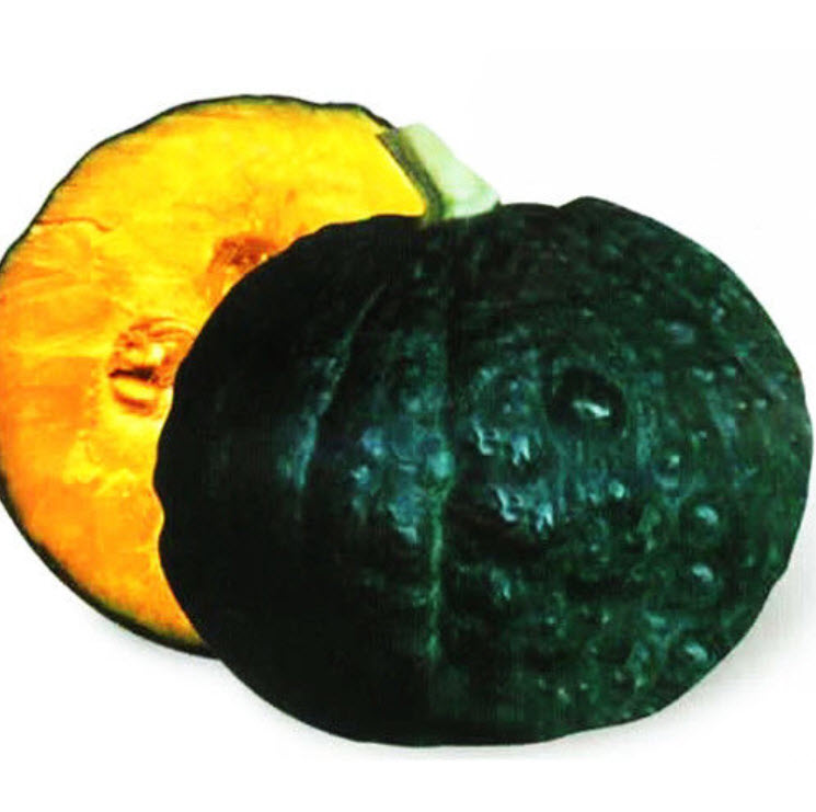 ฟักทองญี่ปุ่น (Japanese pumpkin) / ซอง 8 เม็ด (C117)
