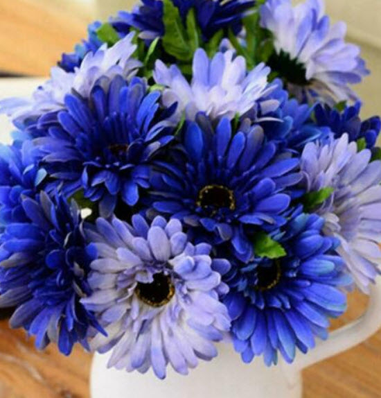 เยอบีร่า (Gerbera) ฟ้า-ขาว / 100 เม็ด