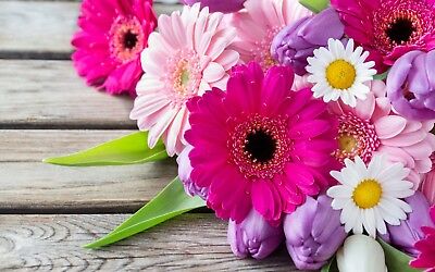 เยอบีร่า (Gerbera) คละ / 100 เม็ด (นอก)