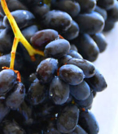 องุ่นดำเคียวโฮ (Black Kyoho Grape) ไร้เมล็ด / 50 เม็ด