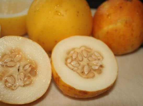 แมงโก เมล่อน (Mango Melon / Vine Peach Melon) / 5 เม็ด (Hungary)