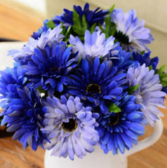 เยอบีร่า สีฟ้า (Majorette Blue Halo) / 100 เม็ด