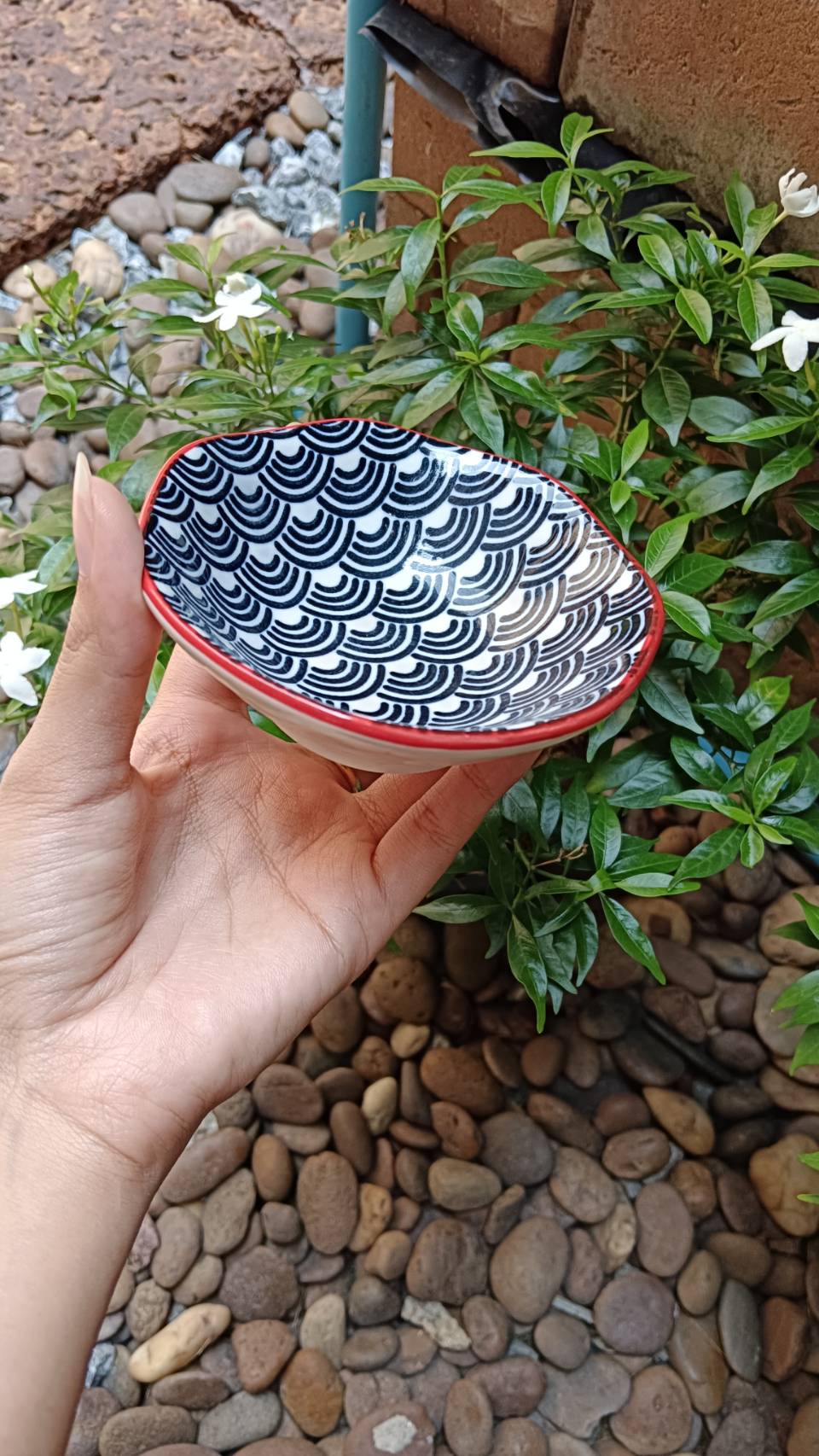 ถ้วยน้ำจิ้ม 3.5 นิ้ว หลายแบบคละลาย คละสี