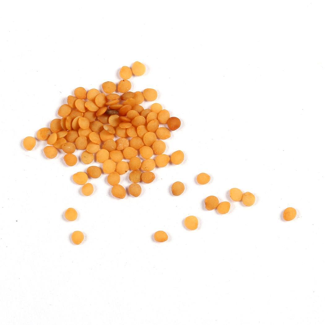 หงส์เหิร หรือบอลลูน ฟรุต (Balloon fruit) / 50 เม็ด