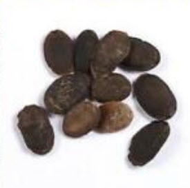 บวบยักษ์ (Giant Loofah) / 5 เม็ด (นอก)