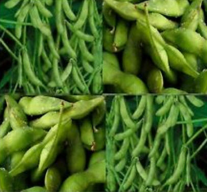 ถั่วแระญี่ปุ่น (Edamame) / 10 เม็ด (P2S)