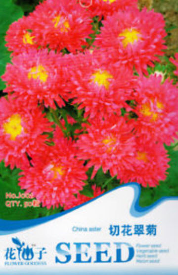 แอสเตอร์ (Aster) สีแดง / ซอง 50 เม็ด (J001)