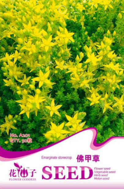 ซีดัม ไลแนร์ (Sedum Lineare) / ซอง 50 เม็ด (A201)