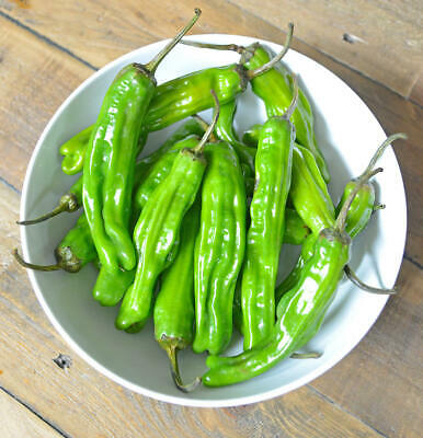 พริกชิชิโตะ (Shishito Chilli) / 10 เม็ด (Australia)*
