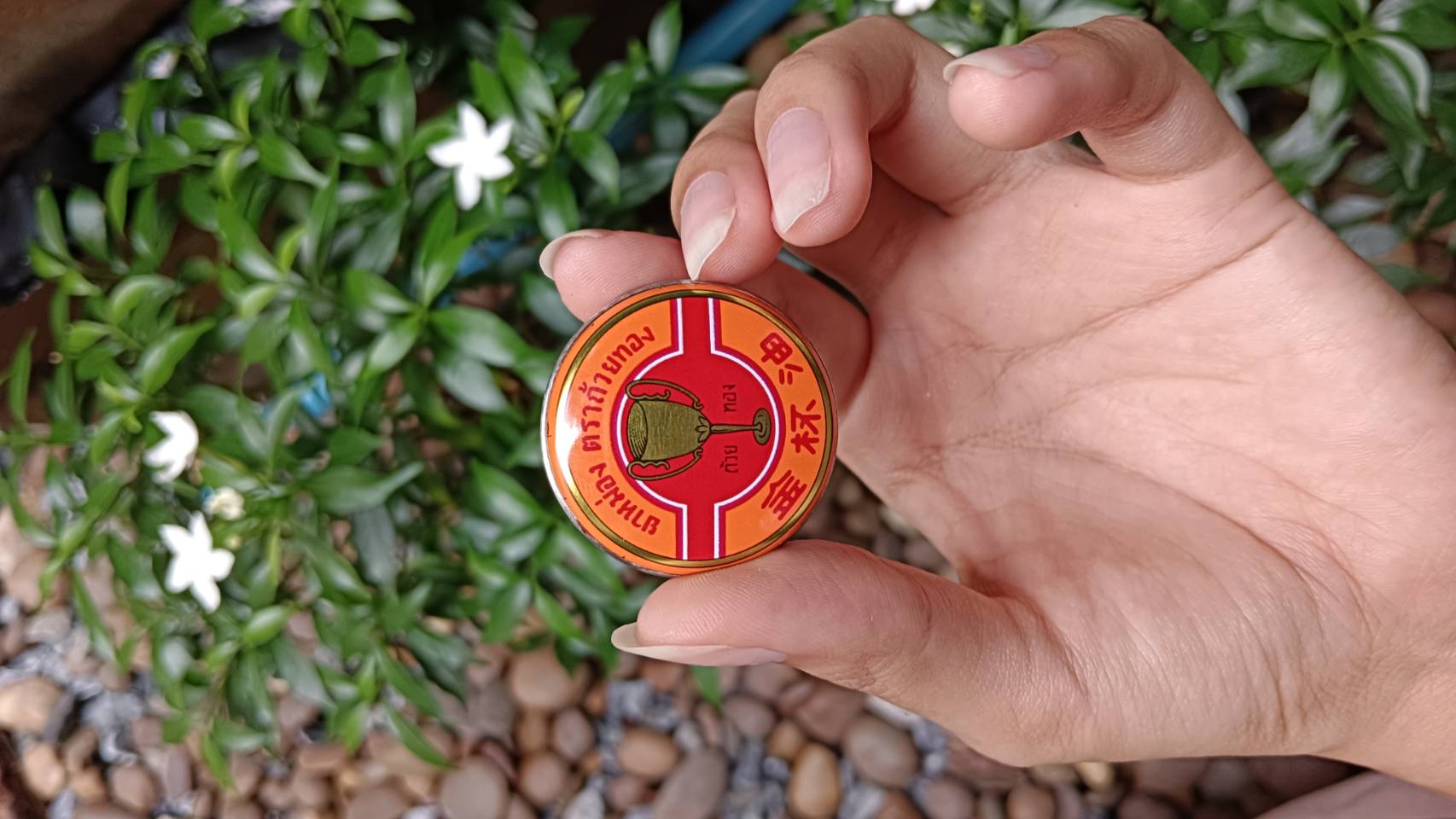 ยาหม่องถ้วยทอง 4 กรัม