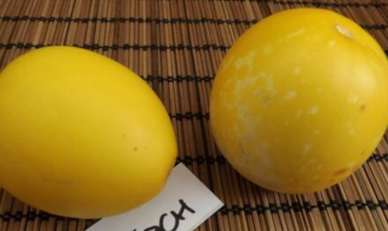 แมงโก เมล่อน (Mango Melon / Vine Peach Melon) / 5 เม็ด (Hungary)