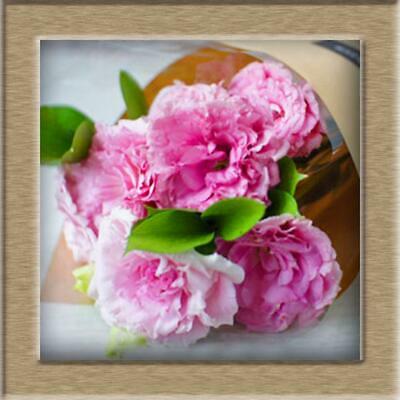 ไลซิแอนธัส (Lisianthus) คละ / 100 เม็ด