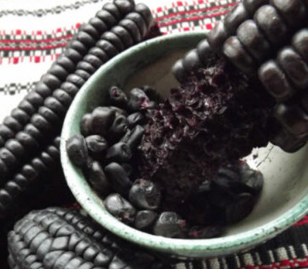 ข้าวโพดดำหวาน (Morado Sweet Corn) / 5 เม็ด (Hungary)
