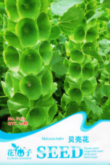 โมลุกกะ บาล์ม (Molucca Balm) / ซอง 20 เม็ด (F012)