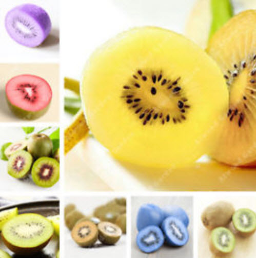 กีวี่ (Kiwi) คละสี / 50 เม็ด (นอก)
