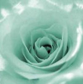 กุหลาบ เขียวมิ้นท์ / 100 เม็ด