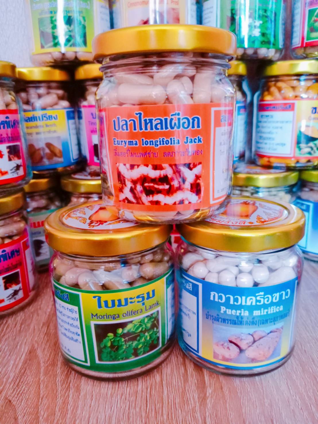 ปลาไหลเผือก พรหมรังสี