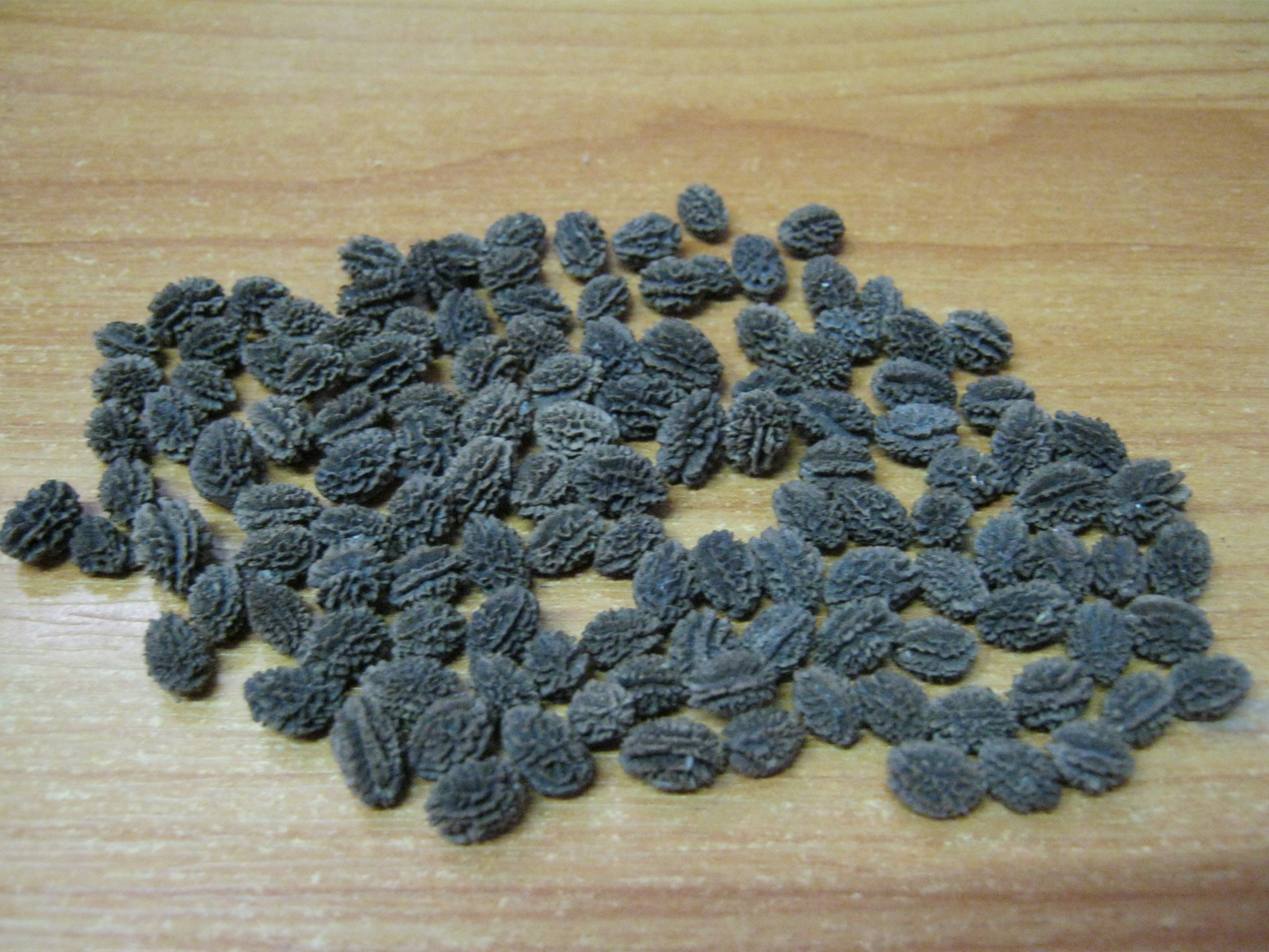 มะละกอแขกนวล ต้นเตี้ย / 100 เม็ด (ไทย)