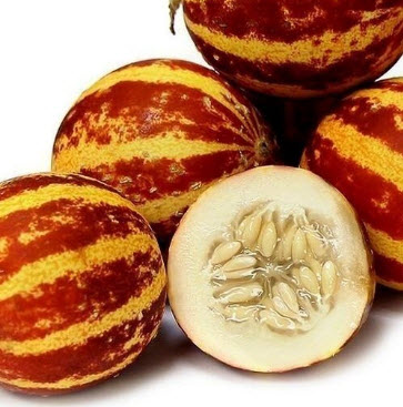 แตงอาร์เมเนีย หรือแตงลายเสือ (Tigger Melon) / 10 เม็ด