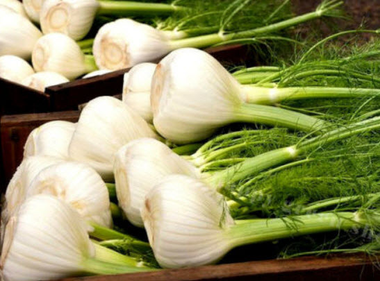 ผักชีล้อม (Fennel) / 1,500 เม็ด (UK)