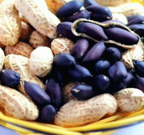 ถั่วลิสง (Groundnut Peanut) คละ / 10 เม็ด (นอก)
