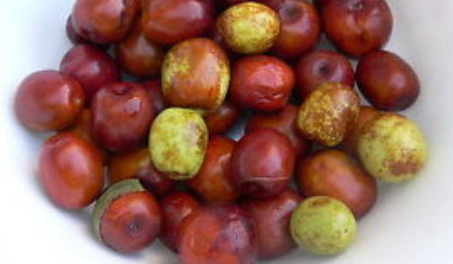 พุทราจีน (Chinese Date) / 5 เม็ด (นอก)