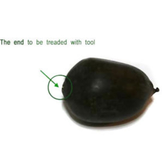 บัวจิ๋ว สีทอง (Mini Golden Lotus) / 5 เม็ด (นอก)