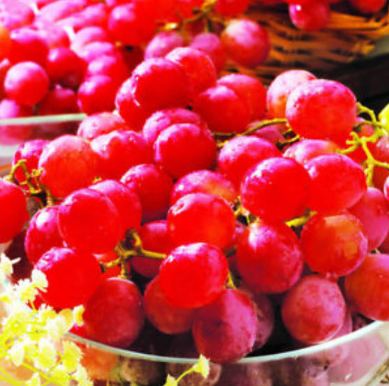 องุ่นลูกกลม สีแดงกุหลาบ (Rose Red Grape) / 50 เม็ด (ขายดี)