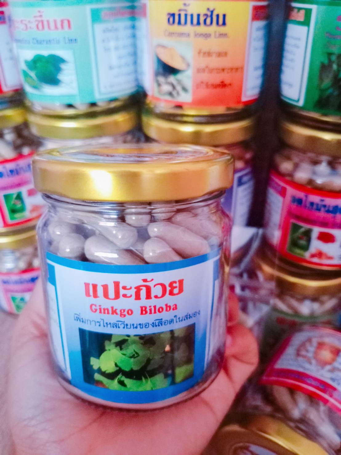 แปะก้วย สมุนไพรพรหมรังสี