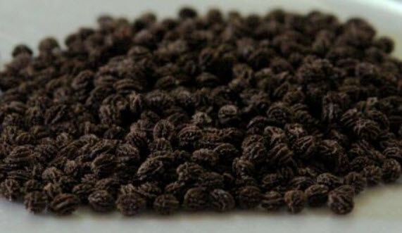 มะละกอ เยลโล่ เลดี้ (Yellow Lady Papaya) / 10 เม็ด (Sri Lanka)