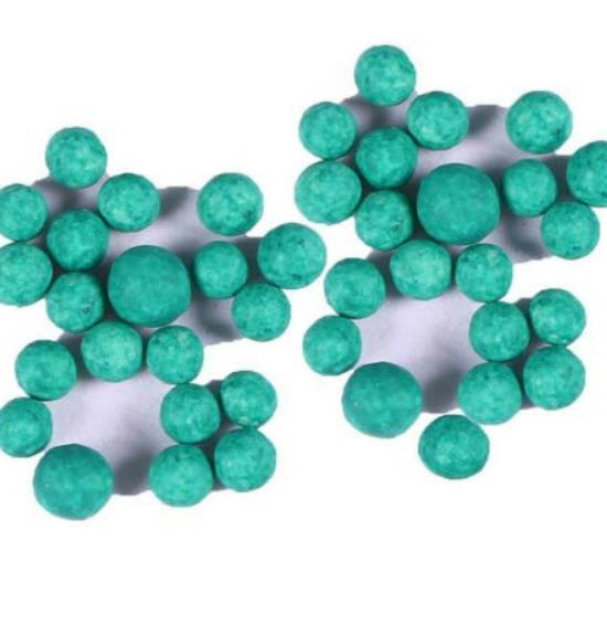 สับปะรดสี (Bromeliad) คละ / 20 เม็ด (นอก)