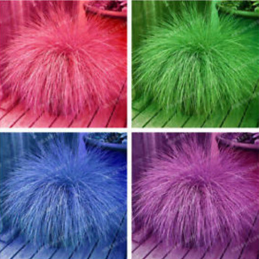 หญ้าฟาง (Fescue Grass) คละ 4 สี / 100 เม็ด