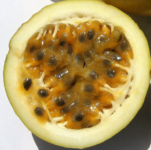 เสาวรส (Passion fruit) ผลสีเหลือง / 300 เม็ด (P2S)