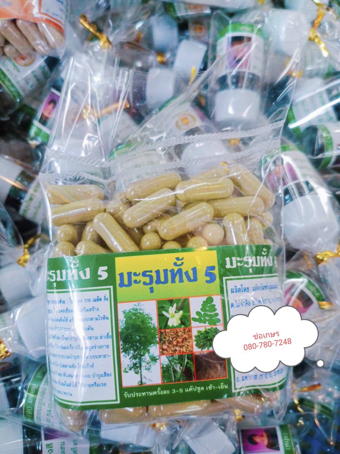 มะรุมทั้ง 5 พรหมรังสี