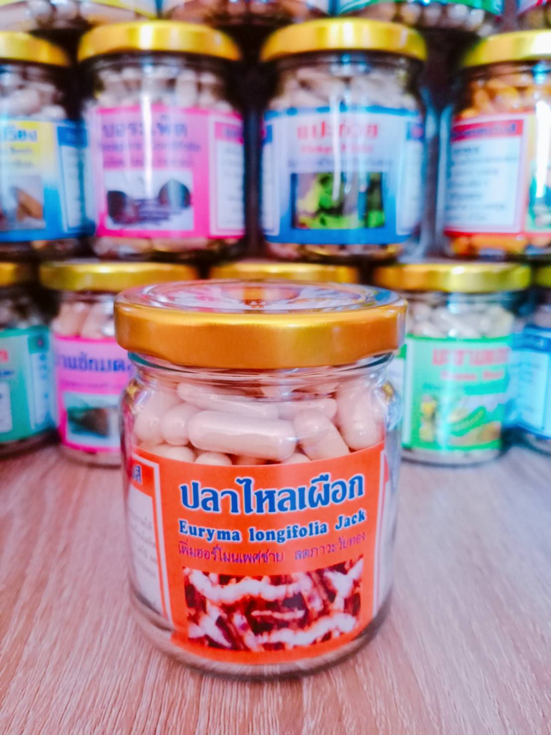 ปลาไหลเผือก พรหมรังสี