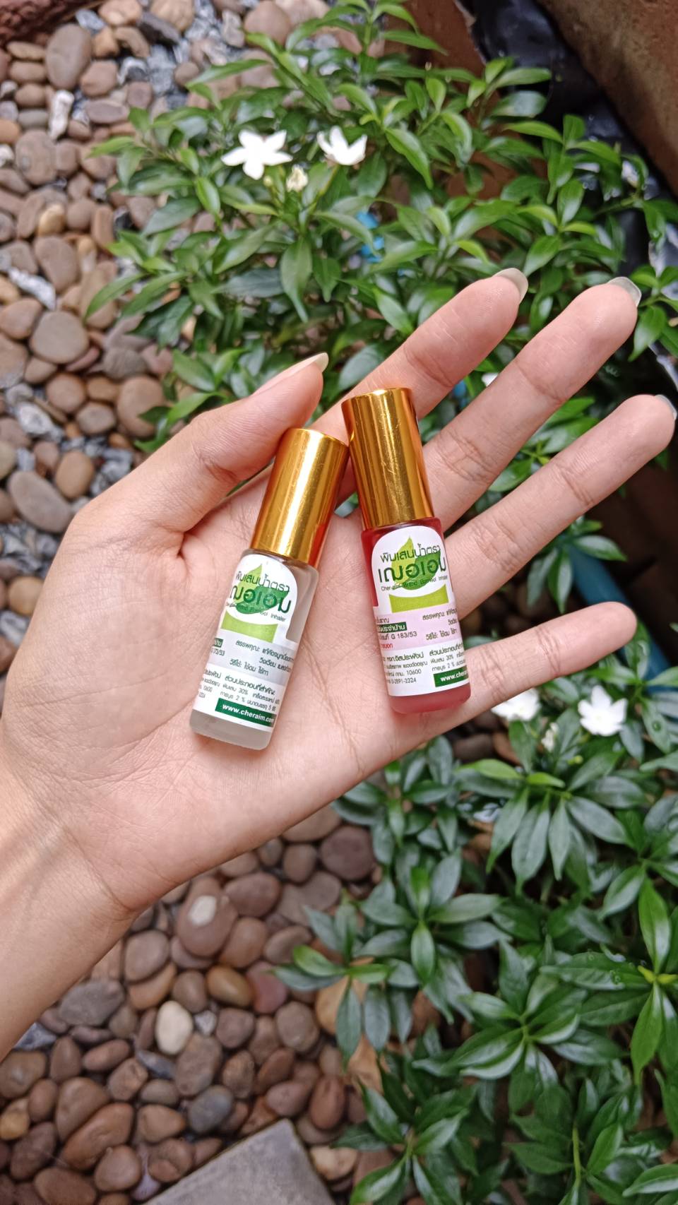 พิมเสนน้ำ เฌอเอม