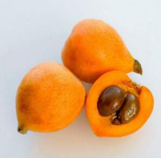 บ๊วยจีน หรือโลควอท (Chinese plum / Loquat) / 5 เม็ด (China)