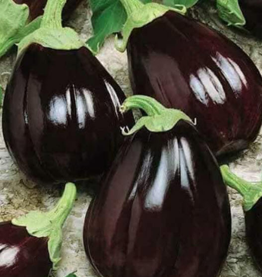 มะเขือยักษ์สีม่วง มะเขือยักษ์ม่วง มะเขือเปราะยักษ์ / 30 เม็ด (P2S)