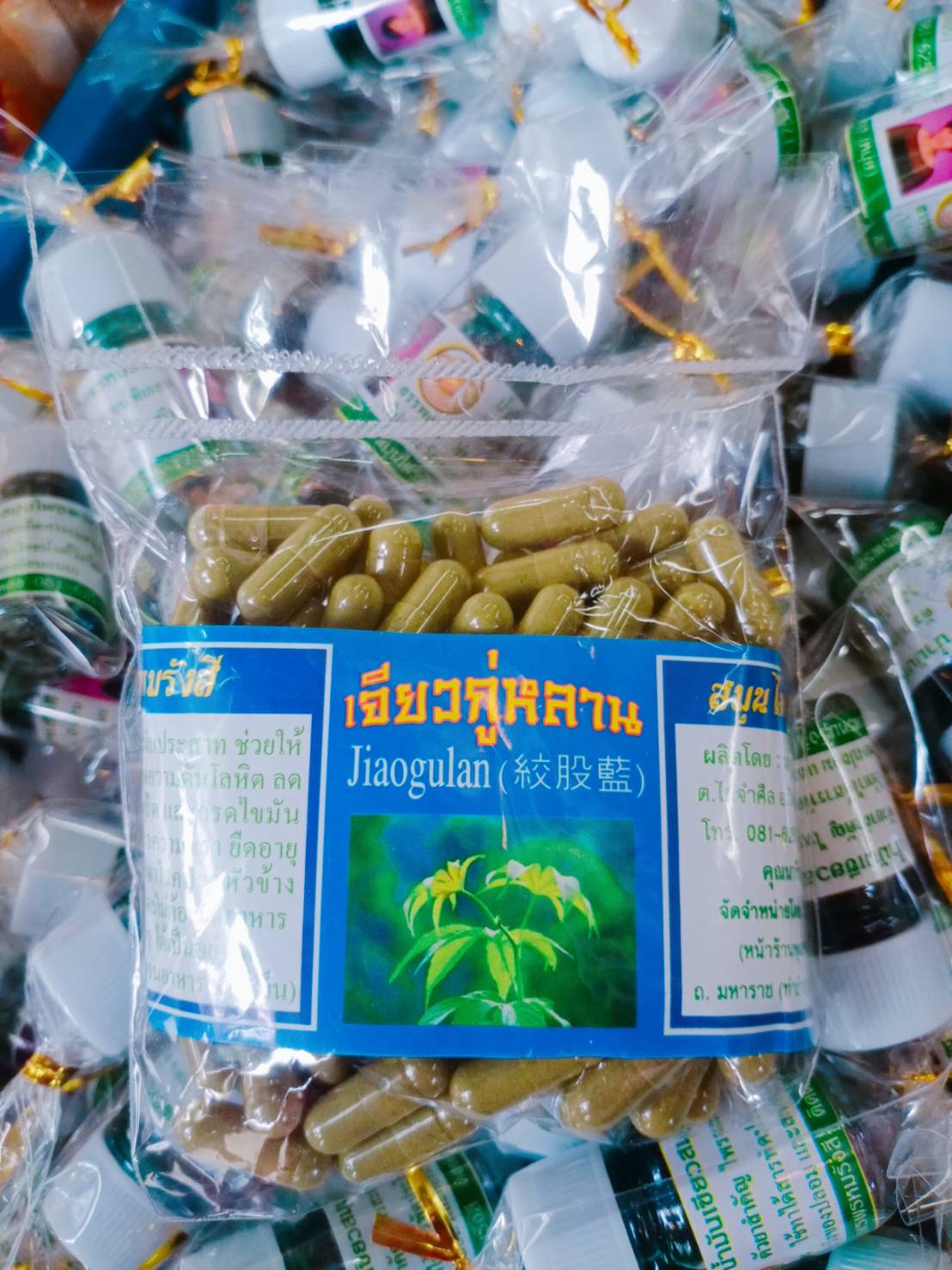 เจียวกู่หลาน พรหมรังสี