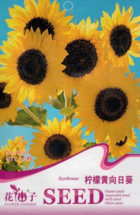 ทานตะวัน / ซอง 20 เม็ด (A296)