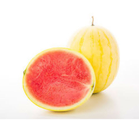 แตงโม เปลือกเหลือง เนื้อแดง / 10 เม็ด