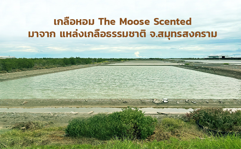 เกลือหอมกลิ่นลาเวนเดอร์ เกลือทะเลแท้จากแหล่งเกลือธรรมชาติ แช่เท้าหอมสบาย