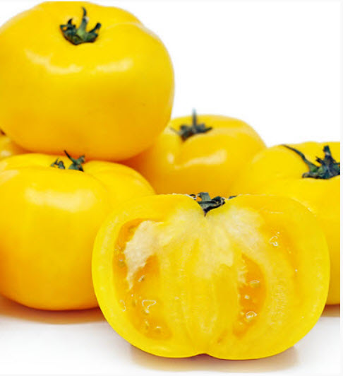 มะเขือเทศ เยลโล่สโตน (Tomato - Yellowstone) / 100 เม็ด (UK) *