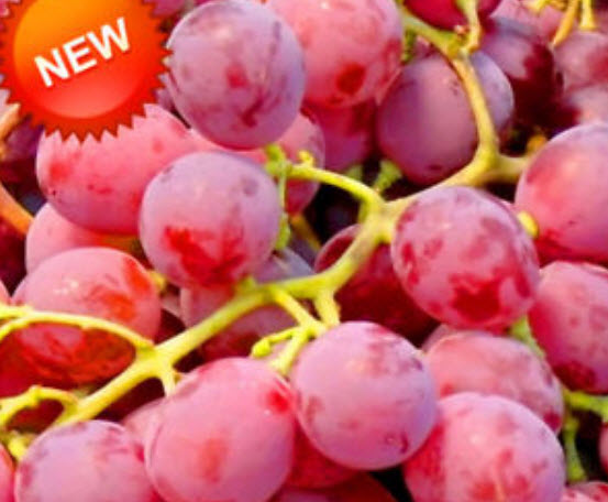 องุ่นกลมแดง หวาน / 50 เม็ด (นอก)