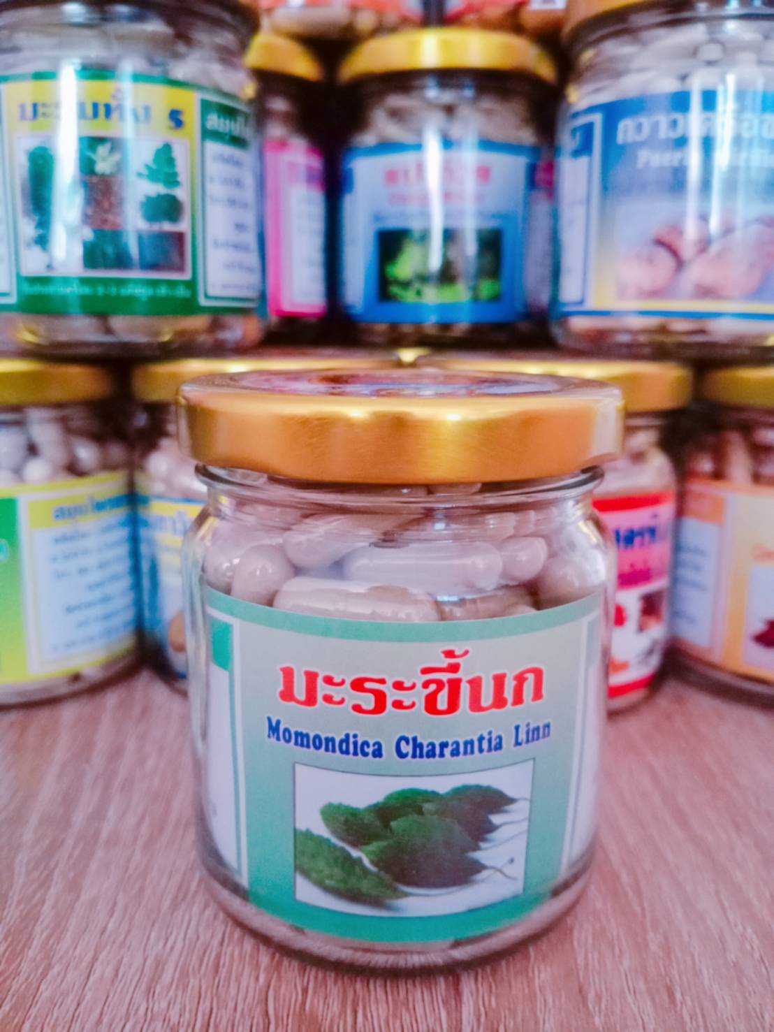 มะระขี้นก พรหมรังสี