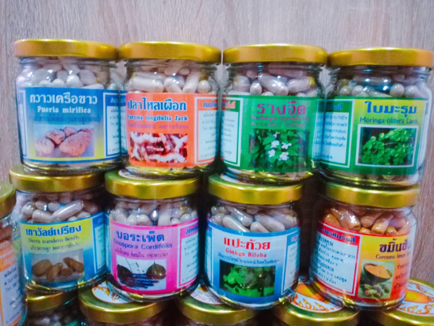 รางจืด พรหมรังสี