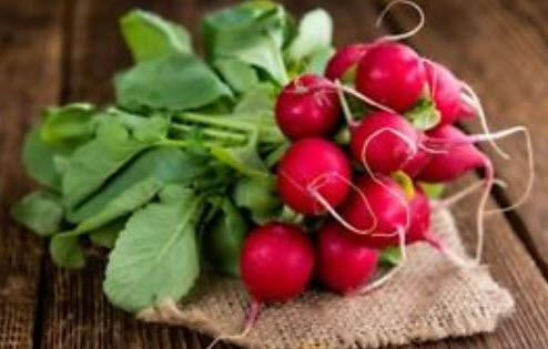 ไชเท้า ไรอา (Radish - RIA) สีแดง / 100 เม็ด (UK)