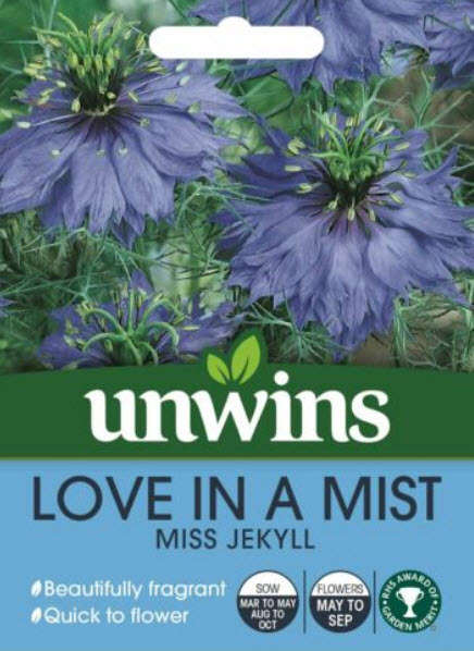 รักในสายหมอก สีฟ้า (Love In A Mist - Miss Jekyll) / 650 เม็ด (UK)