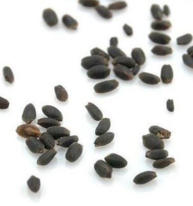 แก้วมังกร (Pitaya) เปลือกเหลือง เนื้อแดง / 50 เม็ด