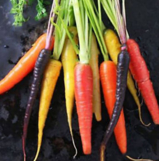 แครอท แฟนซี (rainbow carrot) / 200 เม็ด